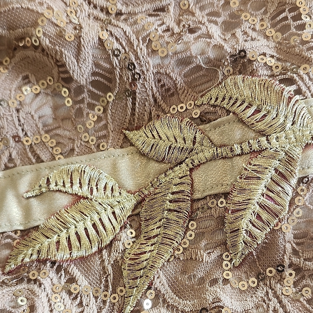 Revolution Beige And Gold Dancewear - Child Large - Picture 6 of 13
